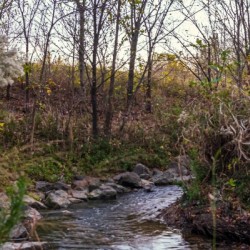 _DSC9300 Enhanced