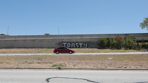 Toasty - The Last One