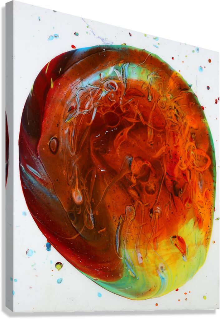 Earth Egg  by Emrie J. Alvarado Canvas Print