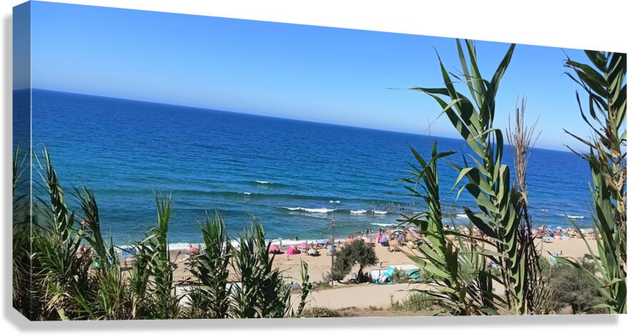 Beautiful view Canvas Print
