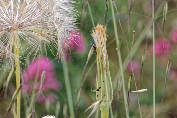 20210410IMG 8577 Print