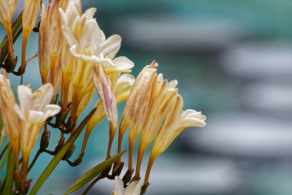 20210414IMG 8058 Print