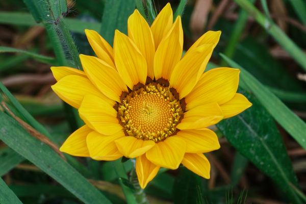 20210414IMG 8082 Print