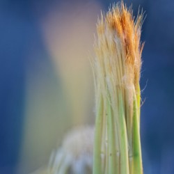 20210409IMG 8490