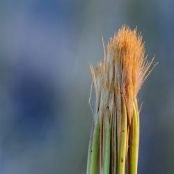 20210409IMG 8494