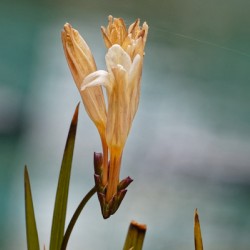 20210414IMG 8060
