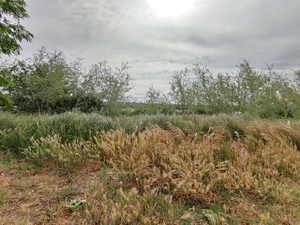 Island View3