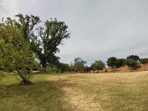Island View4