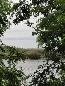 Island Window