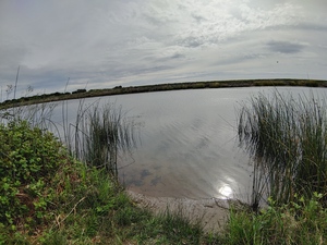 Reflections2