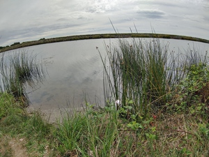 Reflections3