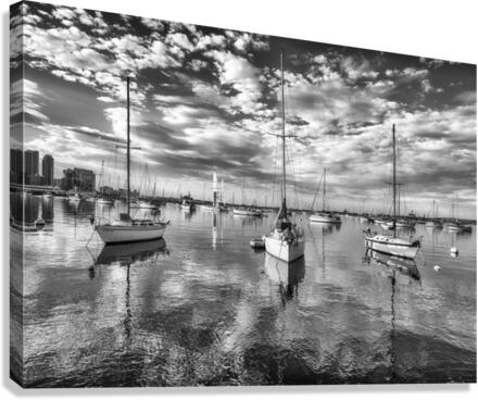 Three Amigos Canvas Print