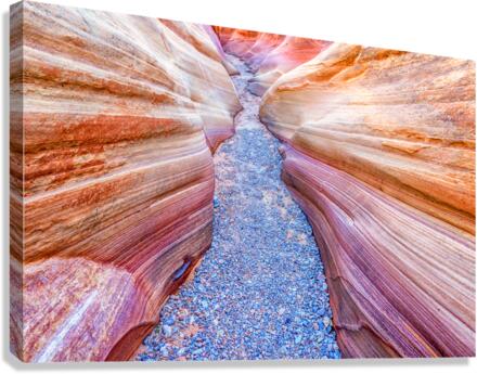 Pastel Path Canvas Print