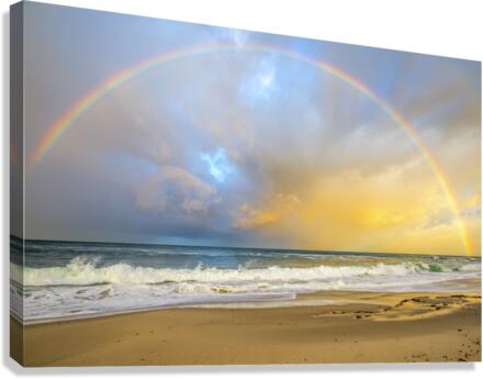 Almost Whole Canvas Print