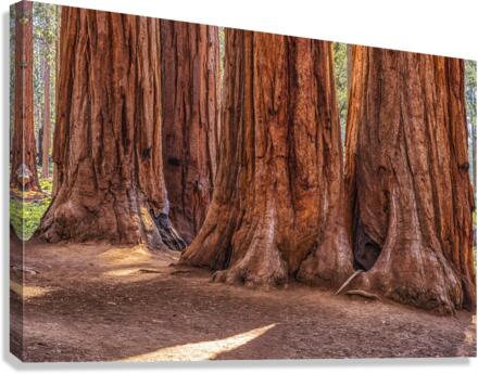 Gigantic Canvas Print
