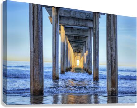 Captured The Sun Canvas Print