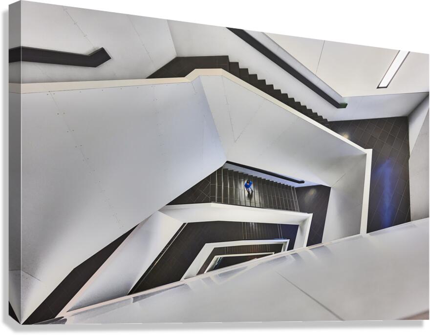 ROM Canvas Print