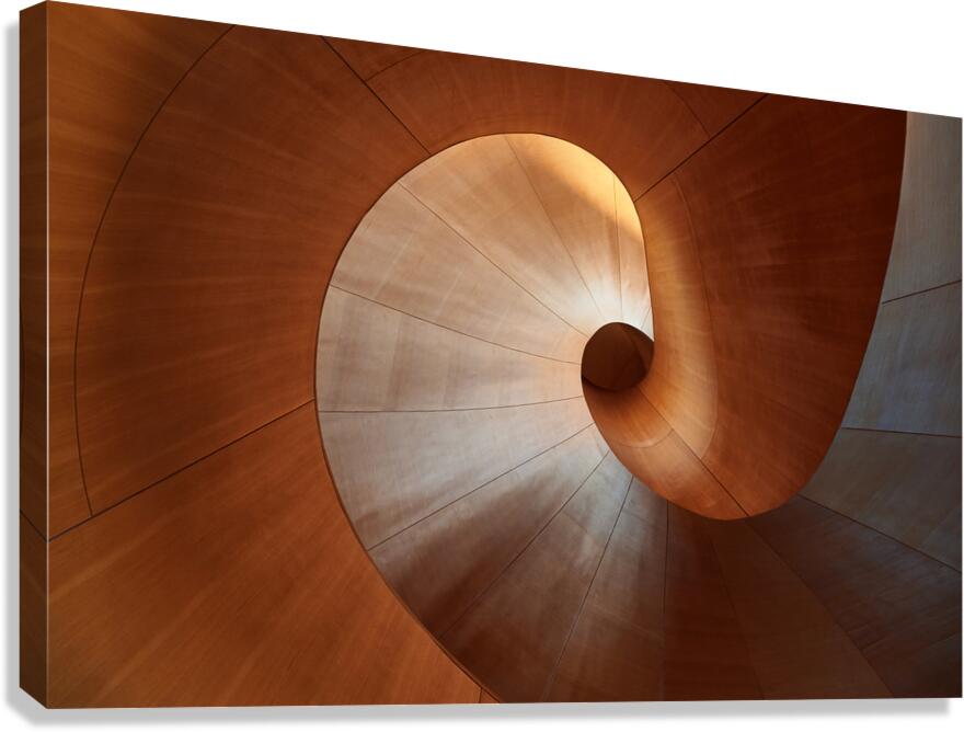 AGO Canvas Print