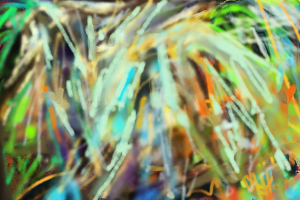 RAINFOREST  2 by FRANCISCO LANDAZABAL