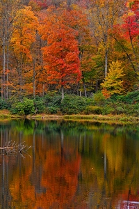 Sims Pond