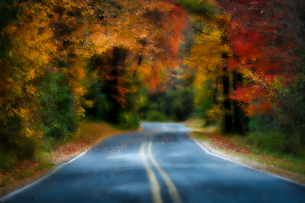 Mystic Fall Print