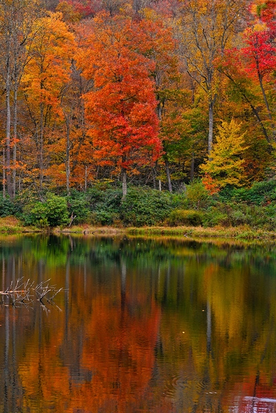 Sims Pond Print