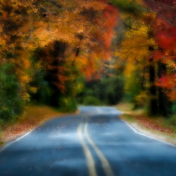 Mystic Fall