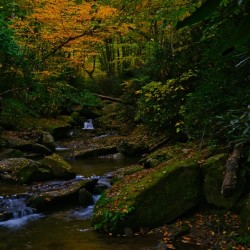 The Land of Goshen 2