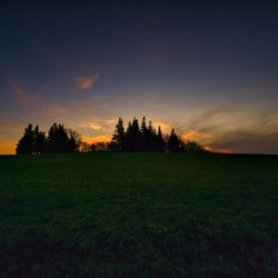 The Graveyard