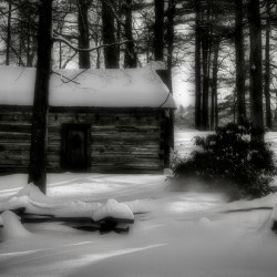 the tatum cabin