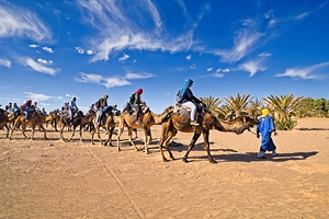 Camel caravan Sahara desert - Morocco Africa