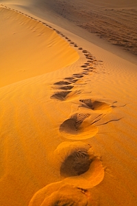 Steps in the sand Sahara Desert - Morocco Africa