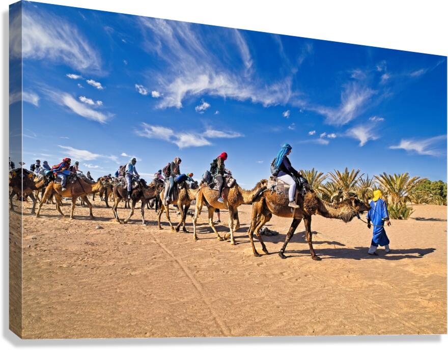 Camel caravan Sahara desert - Morocco Africa Canvas Print