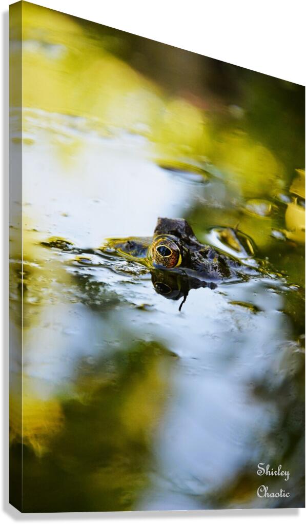 Theodore  Canvas Print