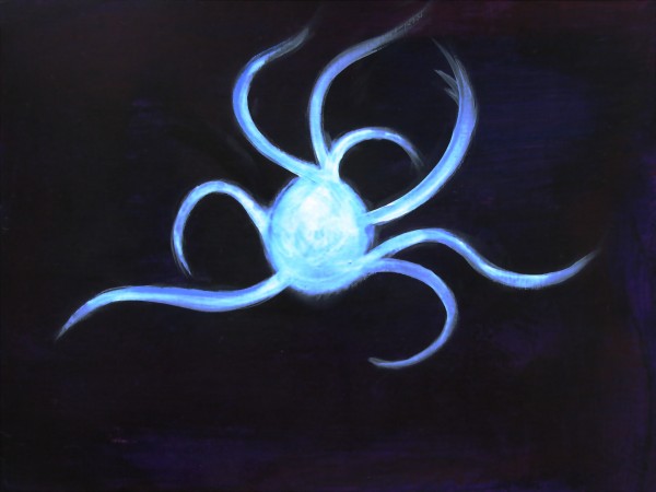 IMG 2427 Print