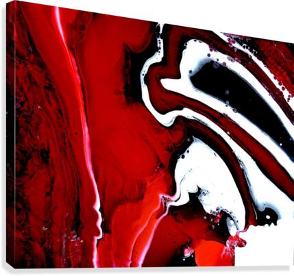fullsizeoutput 17a Canvas Print