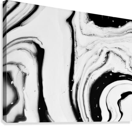 fullsizeoutput 151 Canvas Print