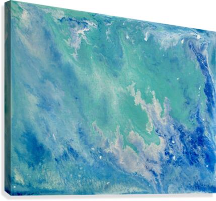 fullsizeoutput e5 Canvas Print