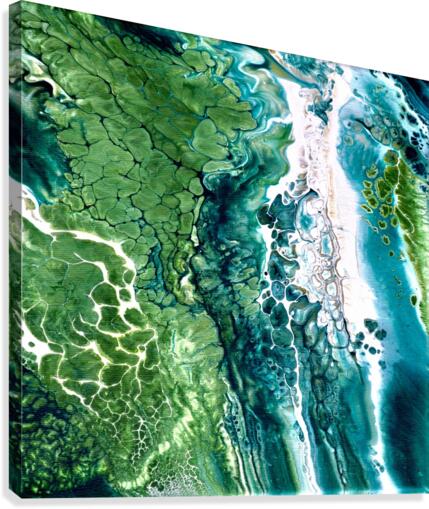 Earth Canvas Print