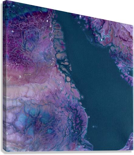 fullsizeoutput 14d Canvas Print