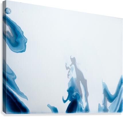 fullsizeoutput 14c Canvas Print