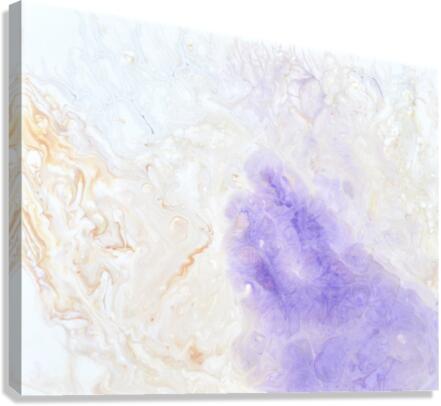 fullsizeoutput 16b Canvas Print