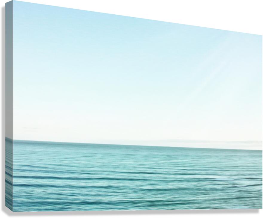 Drift Away Canvas Print