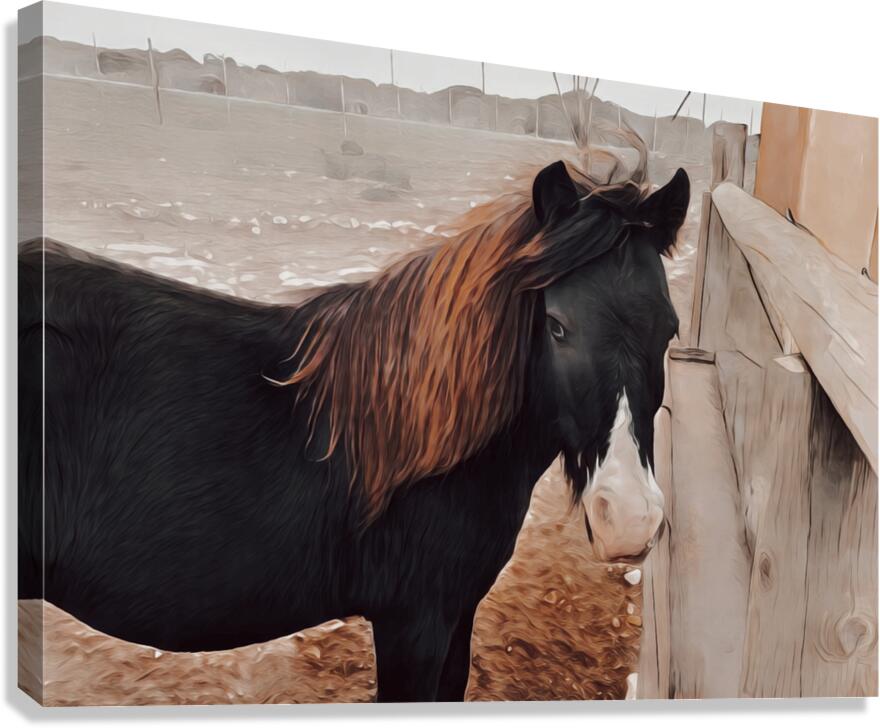 Bella Canvas Print