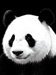 Monochrome Panda