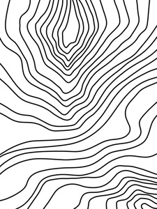 Minimalist Black Lines