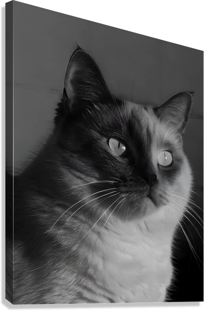 Monochrome Cat Canvas Print