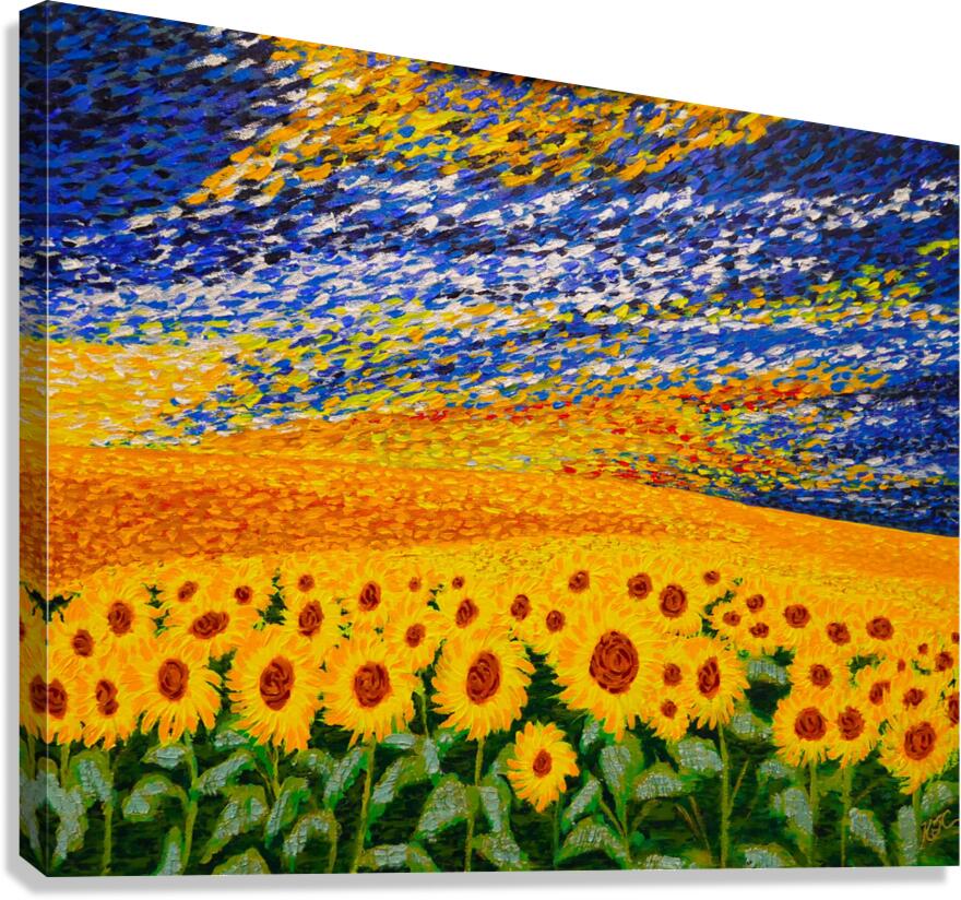 New Dawn  Canvas Print