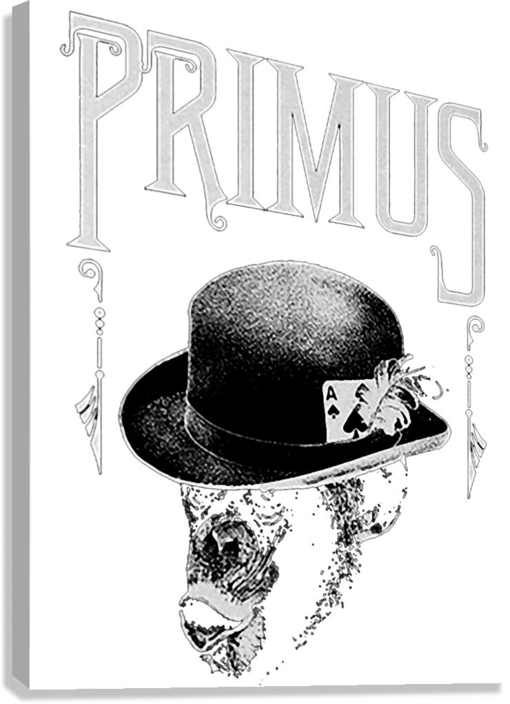 Primus 39 Canvas Print