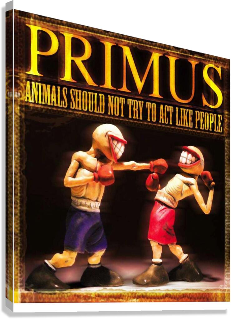 Primus 43 Canvas Print